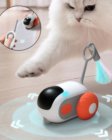 Remote Control Cat Toy